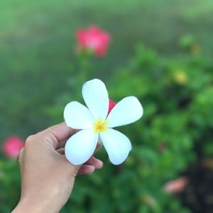 Meet your Posher, Maia